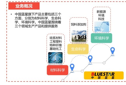 中国蓝星业务概况