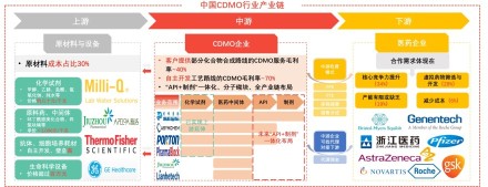 中国CDMO行业产业链