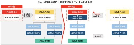 中国CDMO行业驱动因素——MAH制度实施前后对药品研发与生产企业的影响分析