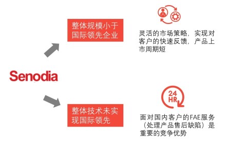 中国半导体敏感元件行业典型企业分析——深迪半导体当前劣势与发展战略