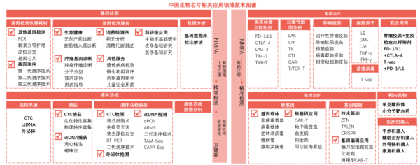 中国生物芯片相关应用领域技术图谱