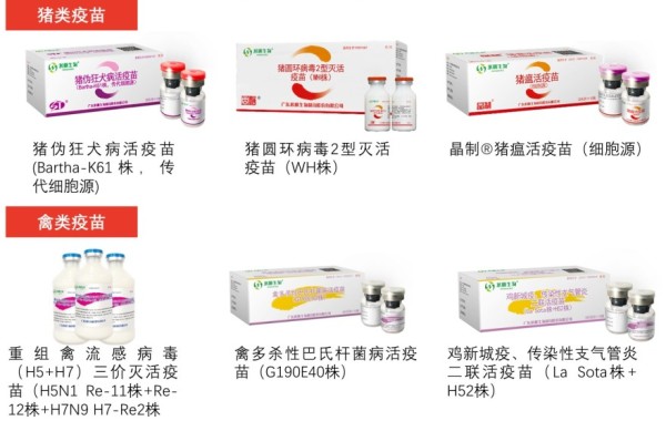 中国动物疫苗行业推荐企业——永顺生物产品介绍
