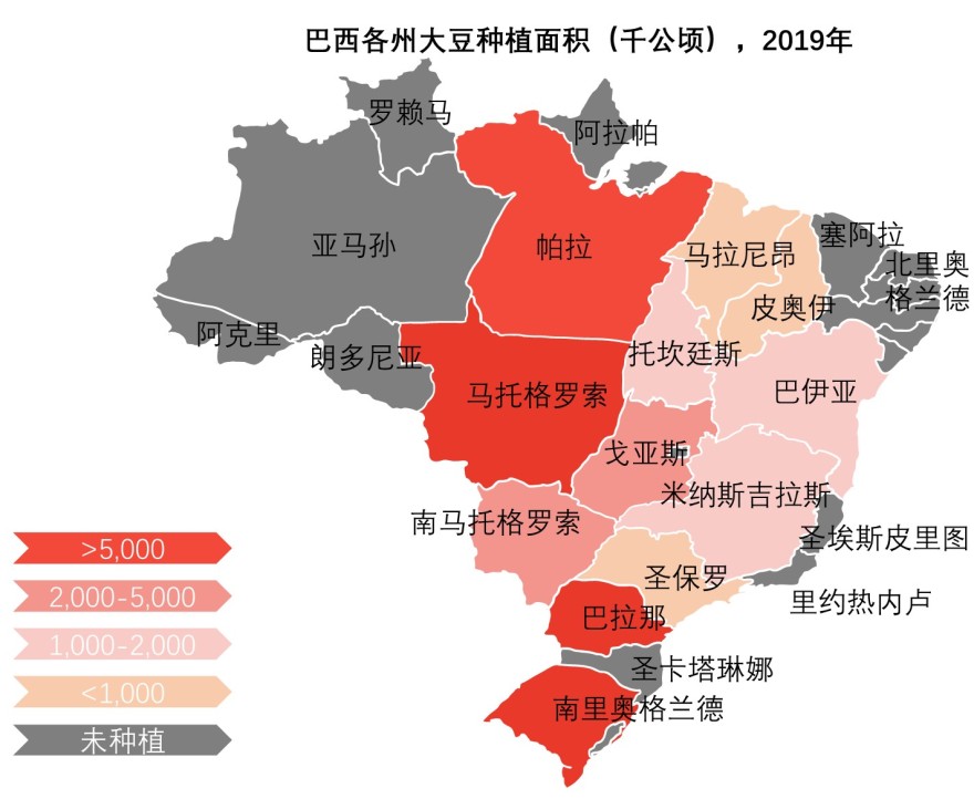巴西各州大豆种植面积(千公顷),2019年
