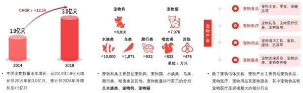 中国宠物数量、宠物种类及宠物产业分类，2019年