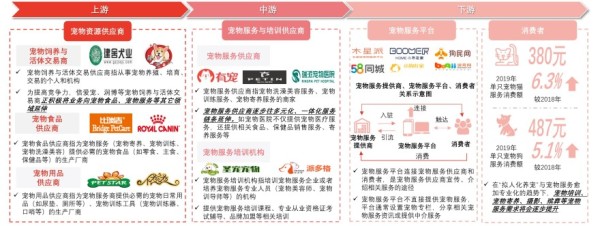 中国宠物服务行业产业链全景图