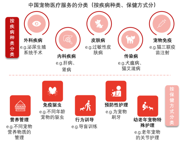 中国宠物医疗服务的分类（按疾病种类、保健方式分）