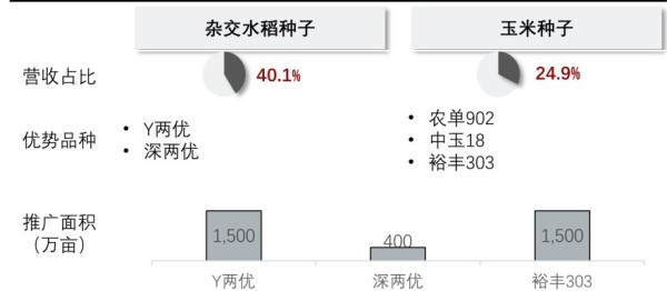 袁隆平农业高科技股份有限公司（隆平高科）主营产品品种及服务