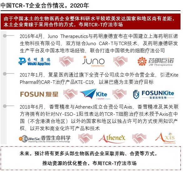 中国TCR-T企业合作情况，2020年