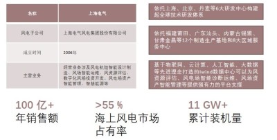 上海电气企业基本情况，2021年