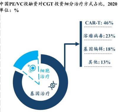 中国PE/VC投融资对CGT 投资细分治疗方式占比，2020