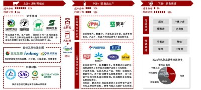 中国乳制品产业链概览
